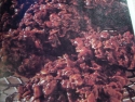 Photos suivantes